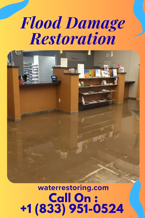 Flood Damage Restoration in Winterville, NC