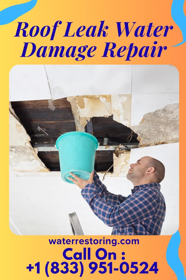 Roof Leak Water Damage Repair in Winterville, NC