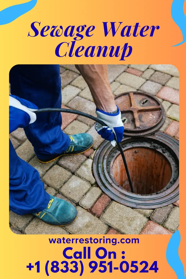 Sewage Water Cleanup in Winterville, NC